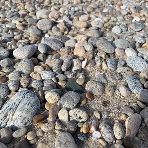 Meet your Posher, Alison